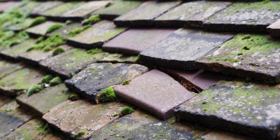 Grange Park roof repair costs